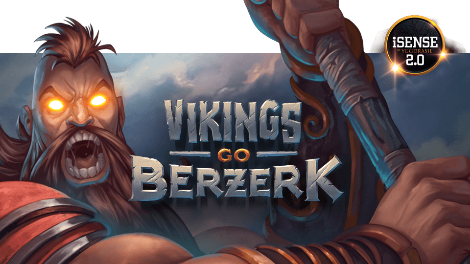 Vikings Go Berzerk Banner